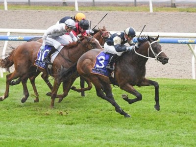 Sunsource triumphs in Ballarat's $250,000 Magic Millions ... Image 1